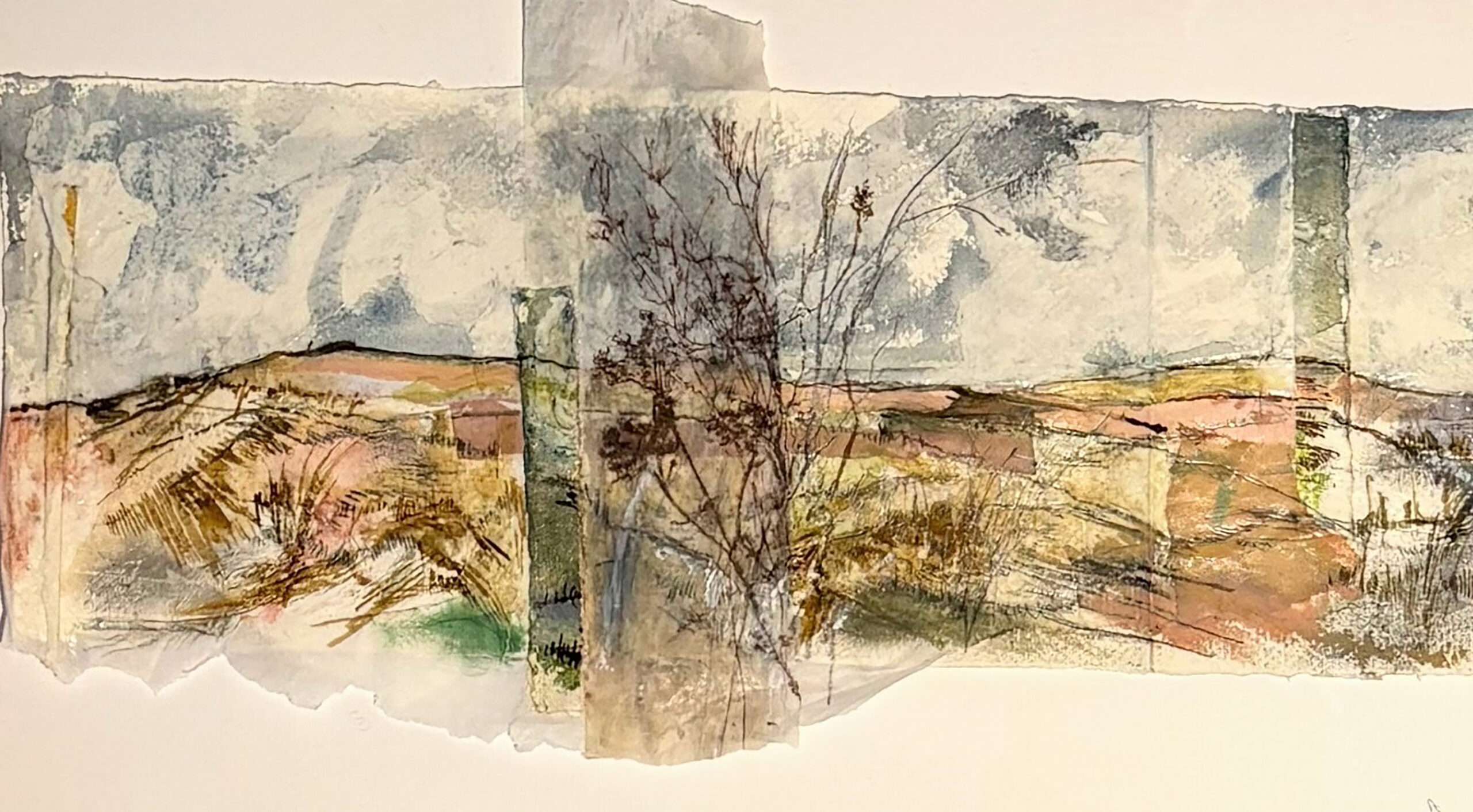 Ireland sandhills 01 half 1