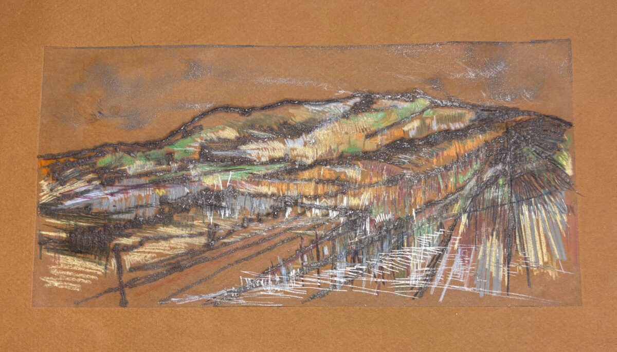 Medart View 2